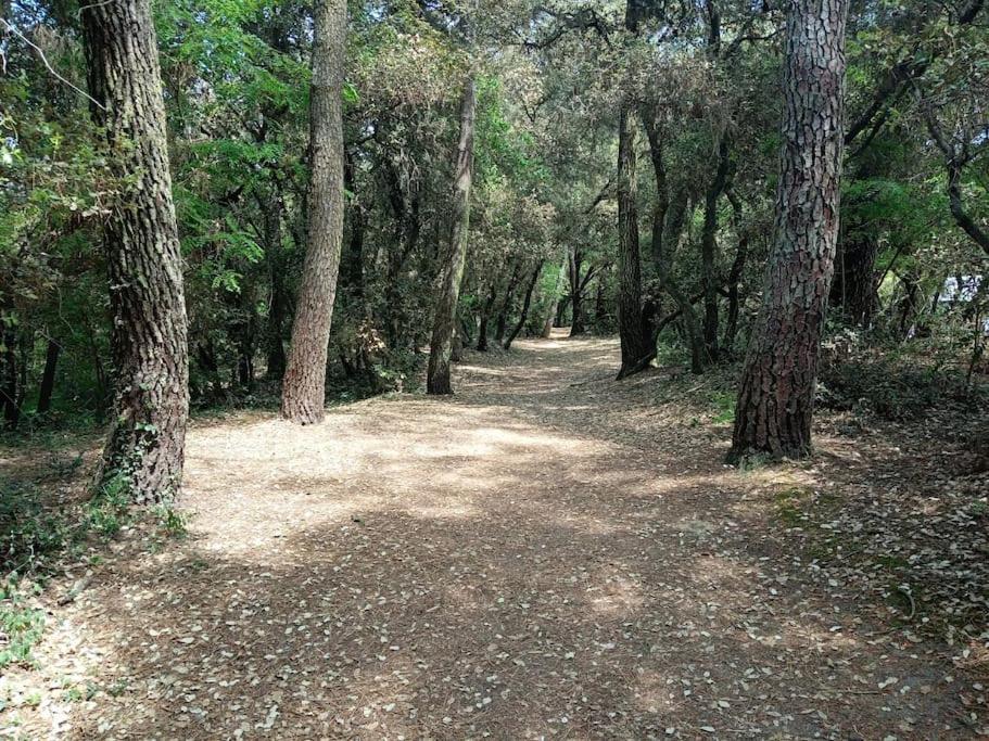 Studio Au Coeur Du Golf De Port Bourgenay, Proche Des Sables D'Olonne Talmont-Saint-Hilaire Εξωτερικό φωτογραφία